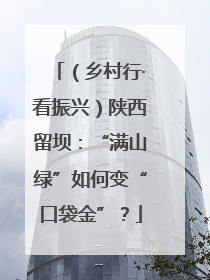 （乡村行·看振兴）陕西留坝：“满山绿”如何变“口袋金”？