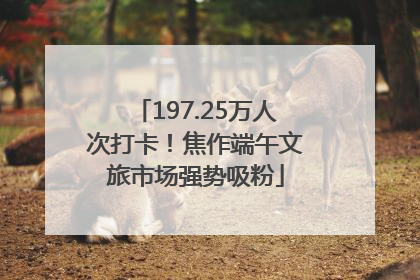 197.25万人次打卡！焦作端午文旅市场强势吸粉