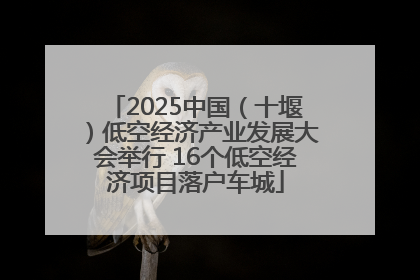 2025中国（十堰）低空经济产业发展大会举行 16个低空经济项目落户车城