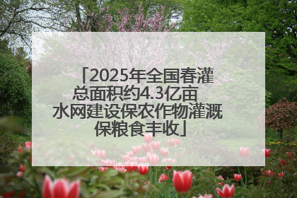 2025年全国春灌总面积约4.3亿亩 水网建设保农作物灌溉 保粮食丰收