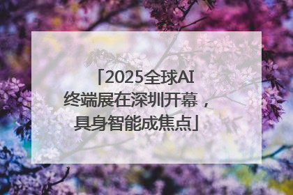 2025全球AI终端展在深圳开幕，具身智能成焦点