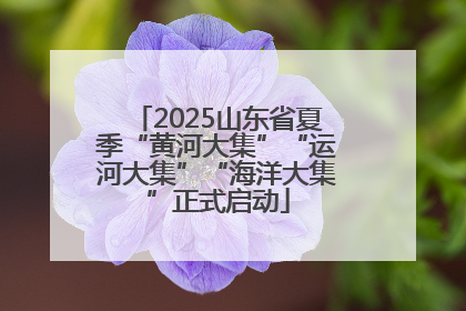 2025山东省夏季“黄河大集”“运河大集”“海洋大集”正式启动
