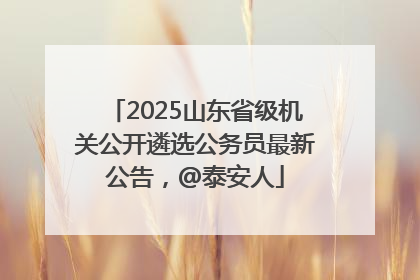 2025山东省级机关公开遴选公务员最新公告，@泰安人