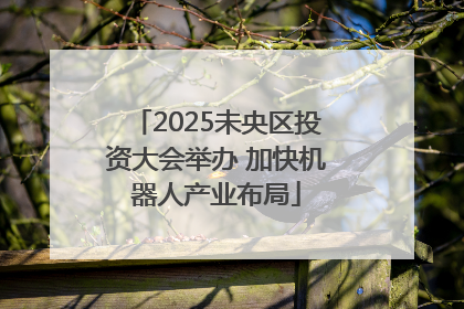 2025未央区投资大会举办 加快机器人产业布局