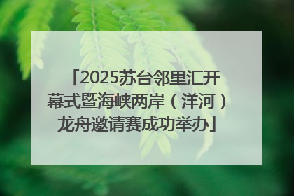 2025苏台邻里汇开幕式暨海峡两岸（洋河）龙舟邀请赛成功举办