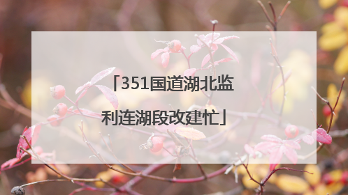 351国道湖北监利连湖段改建忙