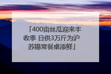 400亩丝瓜迎来丰收季 日供3万斤为沪苏锡常餐桌添鲜