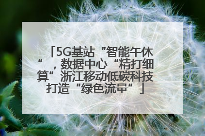 5G基站“智能午休”，数据中心“精打细算”浙江移动低碳科技打造“绿色流量”