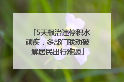 5天根治违停积水顽疾，多部门联动破解居民出行难题