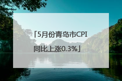 5月份青岛市CPI同比上涨0.3%
