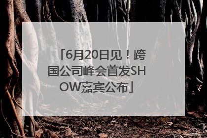 6月20日见！跨国公司峰会首发SHOW嘉宾公布