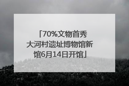 70%文物首秀 大河村遗址博物馆新馆6月14日开馆