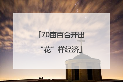70亩百合开出“花”样经济