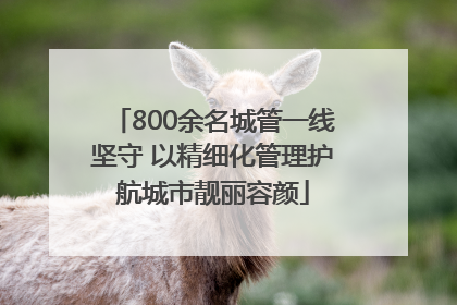 800余名城管一线坚守 以精细化管理护航城市靓丽容颜