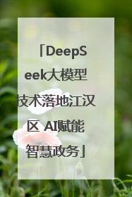 DeepSeek大模型技术落地江汉区 AI赋能智慧政务