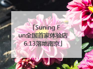 Suning Fun全国首家体验店6.13落地南京