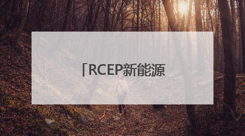RCEP新能源盛会召开 共同发布《合肥倡议》