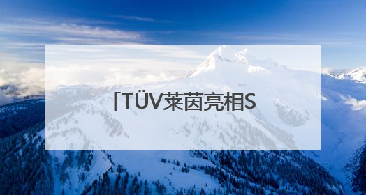 TÜV莱茵亮相SNEC PV+ 2025，赋能新能源产业高质量发展